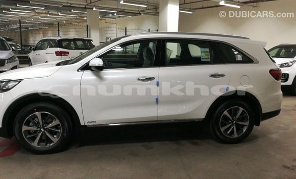 Buy Import Kia Sorento White Car in Import - Dubai in Bumthang Buy Import Kia Sorento White Car in Import - Dubai in Bumthang