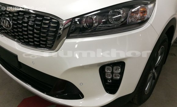 Buy Import Kia Sorento White Car in Import - Dubai in Bumthang Buy Import Kia Sorento White Car in Import - Dubai in Bumthang