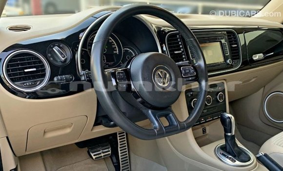Buy Import Volkswagen Beetle Black Car in Import - Dubai in Bumthang Buy Import Volkswagen Beetle Black Car in Import - Dubai in Bumthang