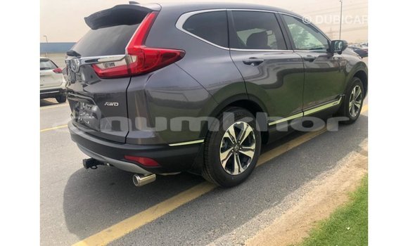 Buy Import Honda C Other Bike in Import - Dubai in Bumthang Buy Import Honda C Other Bike in Import - Dubai in Bumthang