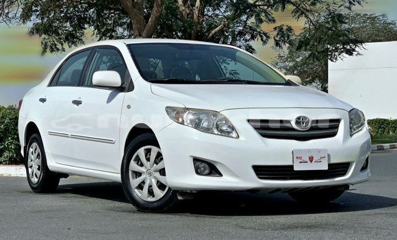 Buy Import Toyota Corolla White Car in Import - Dubai in Bumthang Buy Import Toyota Corolla White Car in Import - Dubai in Bumthang