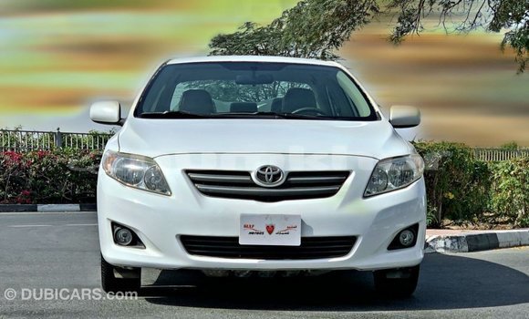 Buy Import Toyota Corolla White Car in Import - Dubai in Bumthang Buy Import Toyota Corolla White Car in Import - Dubai in Bumthang