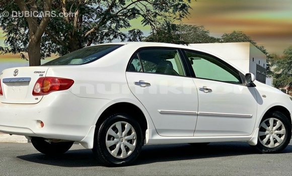 Buy Import Toyota Corolla White Car in Import - Dubai in Bumthang Buy Import Toyota Corolla White Car in Import - Dubai in Bumthang