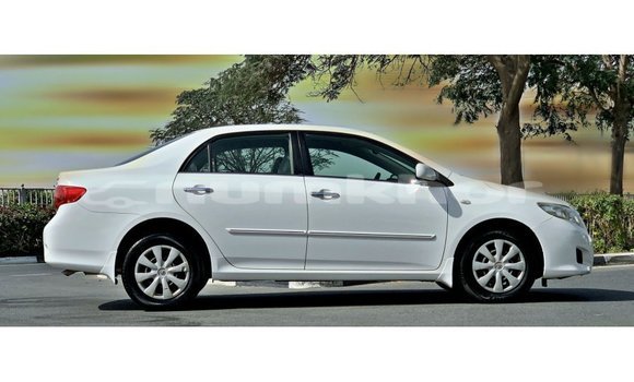 Buy Import Toyota Corolla White Car in Import - Dubai in Bumthang Buy Import Toyota Corolla White Car in Import - Dubai in Bumthang