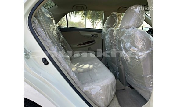Buy Import Toyota Corolla White Car in Import - Dubai in Bumthang Buy Import Toyota Corolla White Car in Import - Dubai in Bumthang