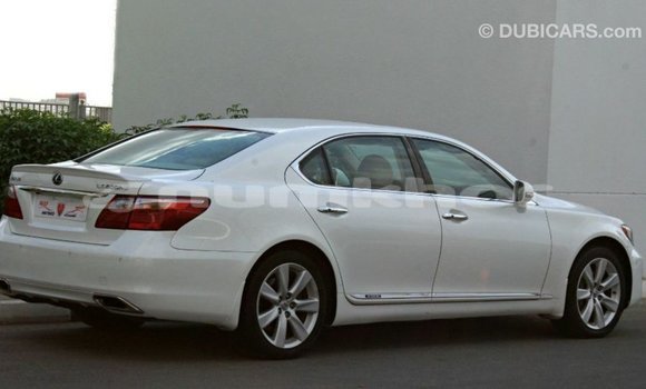 Buy Import Lexus LS White Car in Import - Dubai in Bumthang Buy Import Lexus LS White Car in Import - Dubai in Bumthang