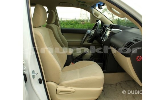Buy Import Toyota Prado White Car in Import - Dubai in Bumthang Buy Import Toyota Prado White Car in Import - Dubai in Bumthang