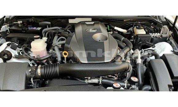 Buy Import Lexus IS White Car in Import - Dubai in Bumthang Buy Import Lexus IS White Car in Import - Dubai in Bumthang