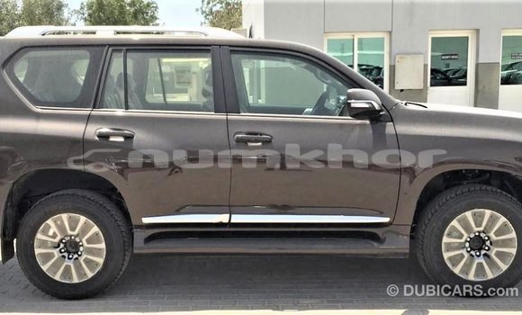 Buy Import Toyota Prado Brown Car in Import - Dubai in Bumthang Buy Import Toyota Prado Brown Car in Import - Dubai in Bumthang