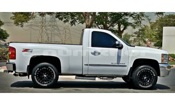 Buy Import Chevrolet Silverado White Car in Import - Dubai in Bumthang Buy Import Chevrolet Silverado White Car in Import - Dubai in Bumthang