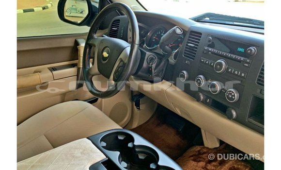 Buy Import Chevrolet Silverado White Car in Import - Dubai in Bumthang Buy Import Chevrolet Silverado White Car in Import - Dubai in Bumthang