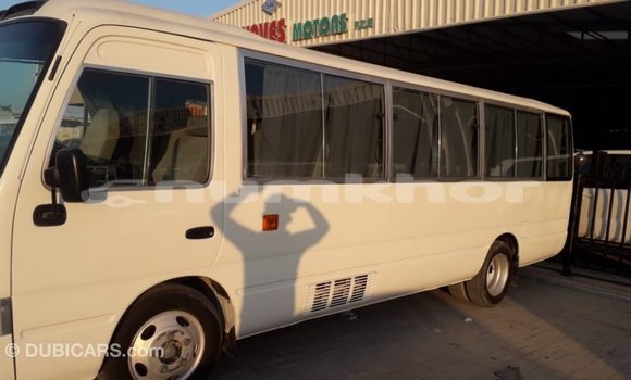 Buy Import Toyota Coaster White Car in Import - Dubai in Bumthang Buy Import Toyota Coaster White Car in Import - Dubai in Bumthang