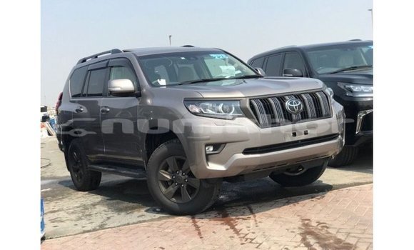 Buy Import Toyota Prado Brown Car in Import - Dubai in Bumthang