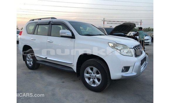 Buy Import Toyota Prado White Car in Import - Dubai in Bumthang Buy Import Toyota Prado White Car in Import - Dubai in Bumthang
