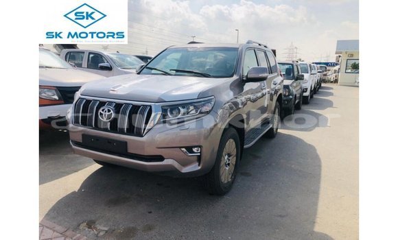 Buy Import Toyota Prado Brown Car in Import - Dubai in Bumthang