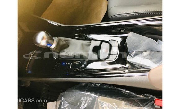 Buy Import Toyota C-HR Other Car in Import - Dubai in Bumthang Buy Import Toyota C-HR Other Car in Import - Dubai in Bumthang