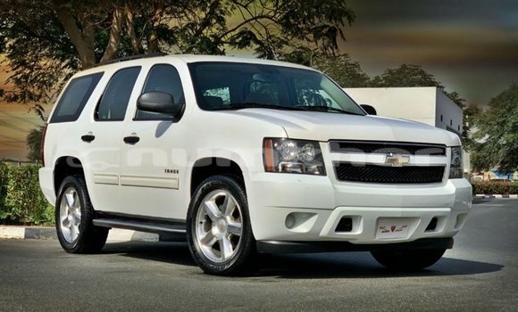 Buy Import Chevrolet Tahoe White Car in Import - Dubai in Bumthang