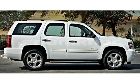Buy Import Chevrolet Tahoe White Car in Import - Dubai in Bumthang Buy Import Chevrolet Tahoe White Car in Import - Dubai in Bumthang
