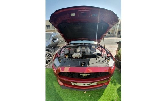Buy Import Ford Mustang Red Car in Import - Dubai in Bumthang Buy Import Ford Mustang Red Car in Import - Dubai in Bumthang