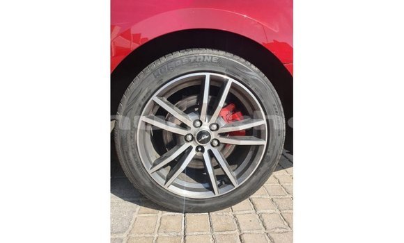 Buy Import Ford Mustang Red Car in Import - Dubai in Bumthang Buy Import Ford Mustang Red Car in Import - Dubai in Bumthang