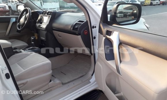 Buy Import Toyota Prado White Car in Import - Dubai in Bumthang Buy Import Toyota Prado White Car in Import - Dubai in Bumthang