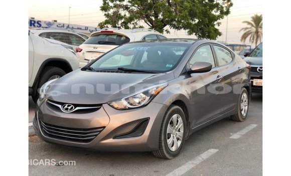 Buy Import Hyundai Elantra Brown Car in Import - Dubai in Bumthang Buy Import Hyundai Elantra Brown Car in Import - Dubai in Bumthang