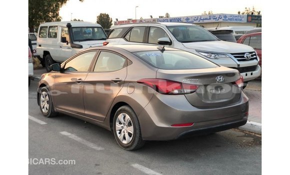 Buy Import Hyundai Elantra Brown Car in Import - Dubai in Bumthang Buy Import Hyundai Elantra Brown Car in Import - Dubai in Bumthang