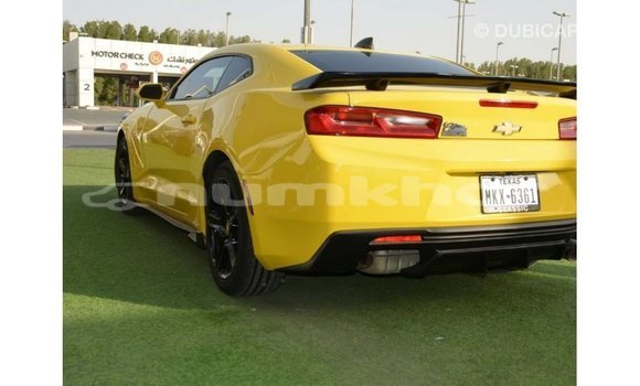 Buy Import Chevrolet Camaro Other Car in Import - Dubai in Bumthang Buy Import Chevrolet Camaro Other Car in Import - Dubai in Bumthang