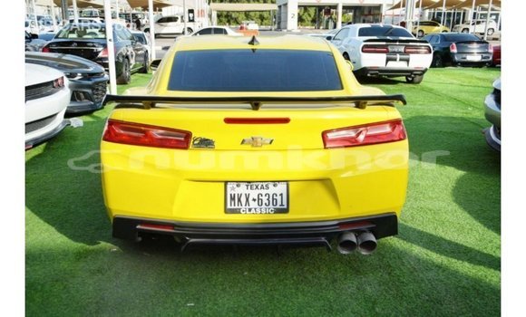 Buy Import Chevrolet Camaro Other Car in Import - Dubai in Bumthang Buy Import Chevrolet Camaro Other Car in Import - Dubai in Bumthang