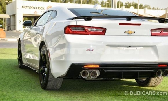 Buy Import Chevrolet Camaro White Car in Import - Dubai in Bumthang Buy Import Chevrolet Camaro White Car in Import - Dubai in Bumthang