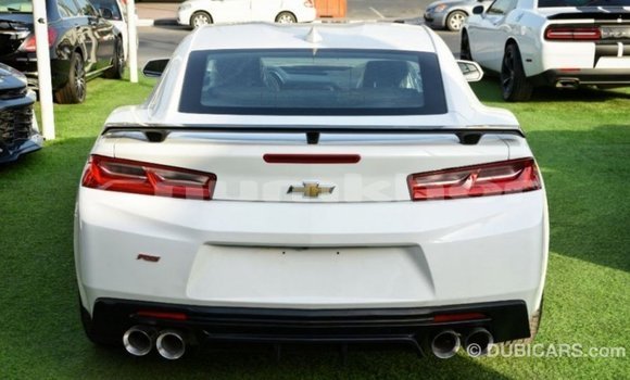 Buy Import Chevrolet Camaro White Car in Import - Dubai in Bumthang Buy Import Chevrolet Camaro White Car in Import - Dubai in Bumthang