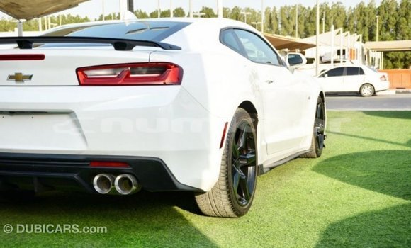 Buy Import Chevrolet Camaro White Car in Import - Dubai in Bumthang Buy Import Chevrolet Camaro White Car in Import - Dubai in Bumthang