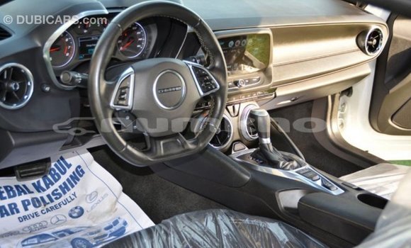 Buy Import Chevrolet Camaro White Car in Import - Dubai in Bumthang Buy Import Chevrolet Camaro White Car in Import - Dubai in Bumthang
