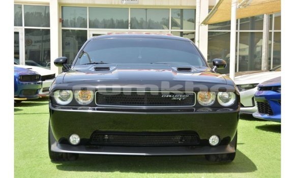 Buy Import Dodge Challenger Black Car in Import - Dubai in Bumthang