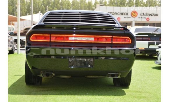 Buy Import Dodge Challenger Black Car in Import - Dubai in Bumthang Buy Import Dodge Challenger Black Car in Import - Dubai in Bumthang