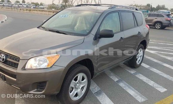 Buy Import Toyota 4Runner Brown Car in Import - Dubai in Bumthang Buy Import Toyota 4Runner Brown Car in Import - Dubai in Bumthang