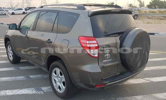 Buy Import Toyota 4Runner Brown Car in Import - Dubai in Bumthang Buy Import Toyota 4Runner Brown Car in Import - Dubai in Bumthang