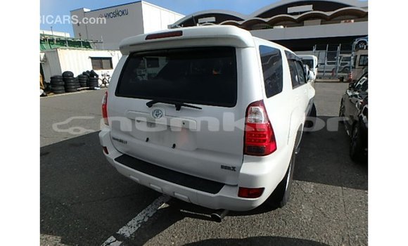 Buy Import Toyota Hilux White Car in Import - Dubai in Bumthang Buy Import Toyota Hilux White Car in Import - Dubai in Bumthang