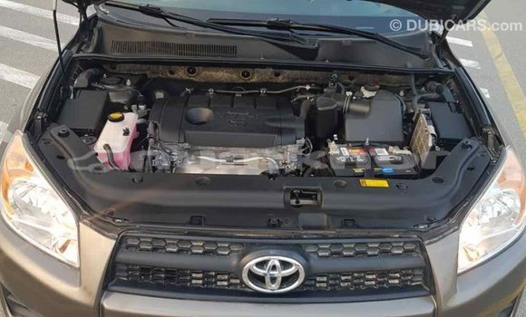 Buy Import Toyota 4Runner Brown Car in Import - Dubai in Bumthang Buy Import Toyota 4Runner Brown Car in Import - Dubai in Bumthang