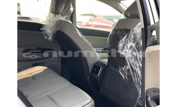 Buy Import Kia Sportage Other Car in Import - Dubai in Bumthang Buy Import Kia Sportage Other Car in Import - Dubai in Bumthang