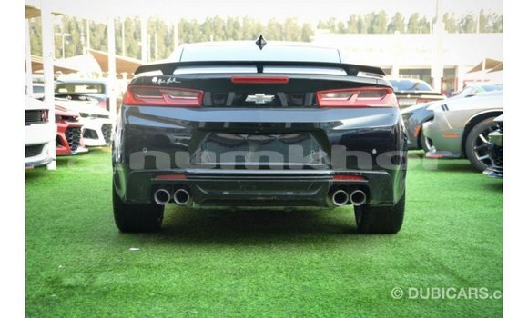 Buy Import Chevrolet Camaro Black Car in Import - Dubai in Bumthang Buy Import Chevrolet Camaro Black Car in Import - Dubai in Bumthang