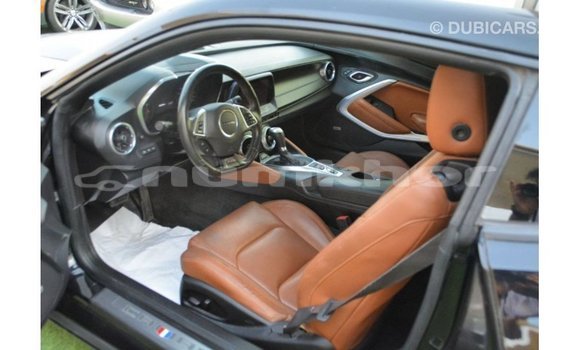 Buy Import Chevrolet Camaro Black Car in Import - Dubai in Bumthang Buy Import Chevrolet Camaro Black Car in Import - Dubai in Bumthang