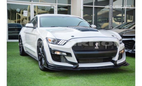 Buy Import Ford Mustang White Car in Import - Dubai in Bumthang Buy Import Ford Mustang White Car in Import - Dubai in Bumthang