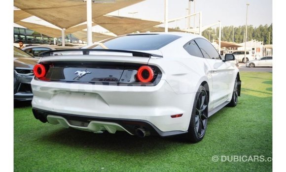 Buy Import Ford Mustang White Car in Import - Dubai in Bumthang Buy Import Ford Mustang White Car in Import - Dubai in Bumthang