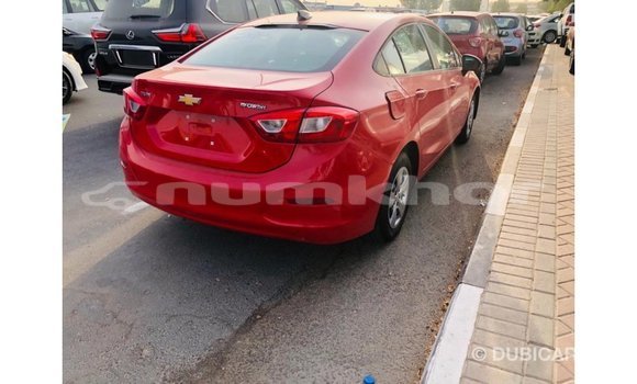 Buy Import Chevrolet Cruze Red Car in Import - Dubai in Bumthang Buy Import Chevrolet Cruze Red Car in Import - Dubai in Bumthang