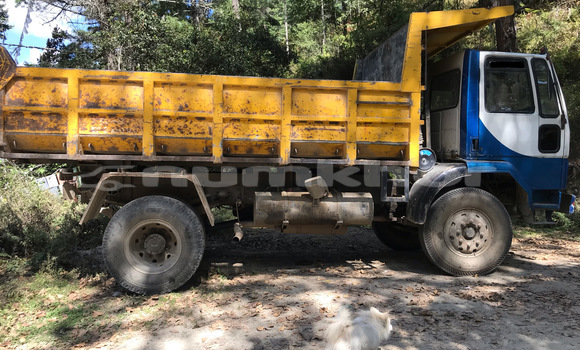 Buy Used Caterpillar 120 White Truck in Thimphu in Timphu