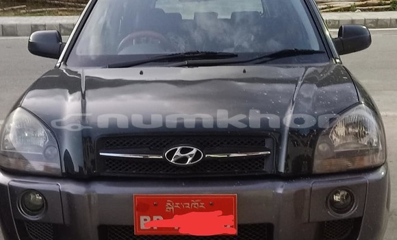 Buy Used Hyundai Tucson Black Car in Thimphu in Timphu Buy Used Hyundai Tucson Black Car in Thimphu in Timphu
