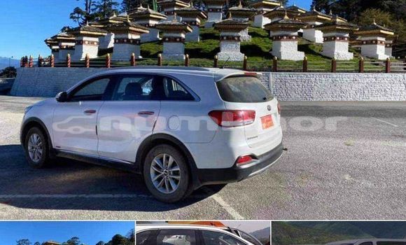 Buy Used Kia Sorento White Car in Chhukha in Chhukha Buy Used Kia Sorento White Car in Chhukha in Chhukha