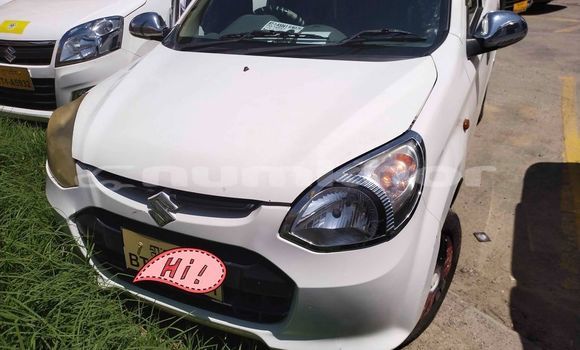 Buy Used Suzuki Alto White Car in Thimphu in Timphu Buy Used Suzuki Alto White Car in Thimphu in Timphu