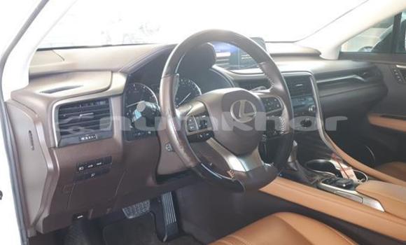Buy Used Lexus RX 350 White Car in Damphu in Chirang Buy Used Lexus RX 350 White Car in Damphu in Chirang